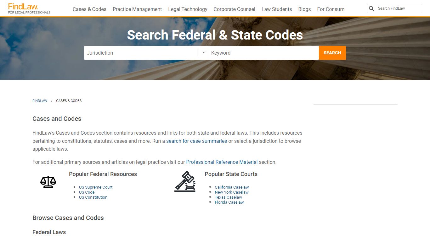 US Laws, Cases, Codes, and Statutes | FindLaw Caselaw